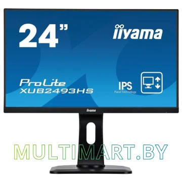 Монитор Iiyama ProLite XUB2493HS-B1